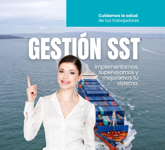gestion de seguridad y salud en el trabajo